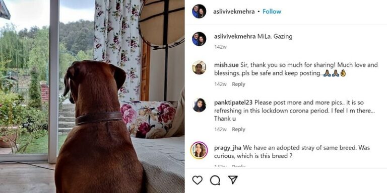 Vivek Mehra’s Instagram post about his dog