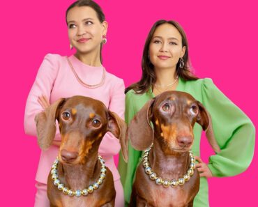 Chapitosiki Bio – Age, Net Worth, Fun Facts, Income & Success Story